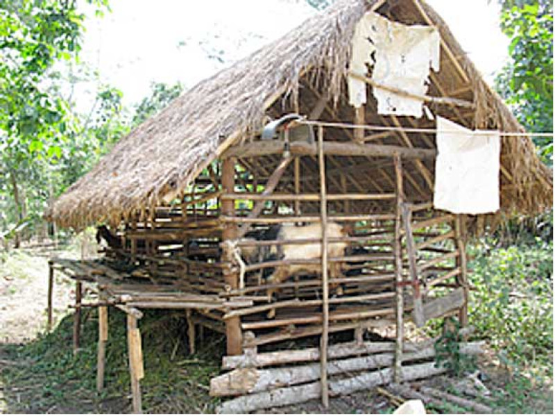 Final Evaluation of the Sustainable Mixed Agriculture Livestock Livelihoods