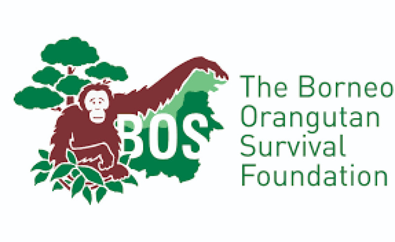 Capacity Building for Program Staff of the Borneo Orangutan Survival Foundation (BOS) - Batch 2
