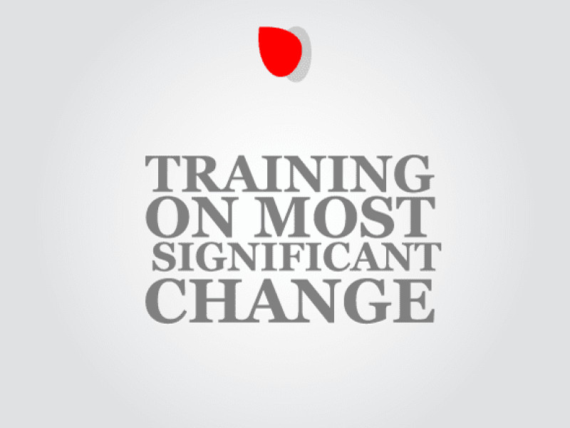 Training on Most Significant Change (MSC)